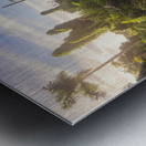 Jungle Garden Dominican Metal print