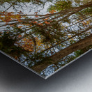 fall colours boardwalk trail Metal print