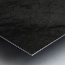 Gecko Anole on boardwalk in BW Metal print