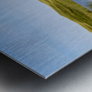 Greenwich grass dune on sky background Metal print