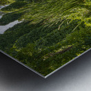 Ducks in a jungle pond Metal print