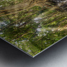 Jungle tree waterfall sunrays Metal print