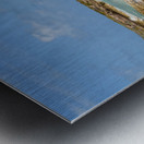 Cuban coral shore ocean view Metal print