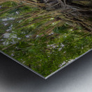 jungle tree waterfall 2 Impression metal