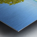 Mangrove on Cuban beach 2 Impression metal