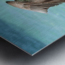 Pelican Cuban 11 Metal print