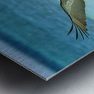 Pelican Cuban - 10 Metal print