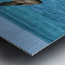 Pelican Cuban 14 Metal print