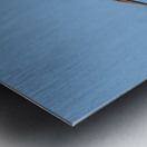 Two Cuban pelican in flight Metal print