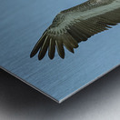 Pelican Cuban 15 Metal print