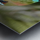 Mot Mot  Clock bird Metal print