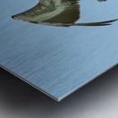 Pelican cuban - 8 Metal print