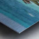 Pelican Cuban 7 Metal print