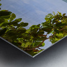 Rawai beach with island view Metal print