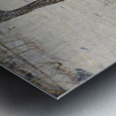 Small long leg cuban bird Metal print