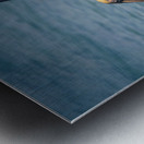 Cuban pelican splash Impression metal