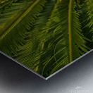 tropical plant center Metal print