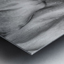 Wet Jungle Leaves closeup BW Metal print