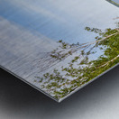 Prince Edward Island field view with ocean Metal print