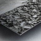 Toes in the Water BW Metal print