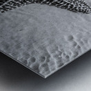 Giant starfish in black and white Impression metal