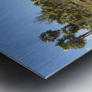 Walk on Cuban Dunes Ocean Metal print