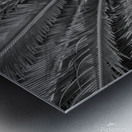 tropical plant centre-bw Metal print