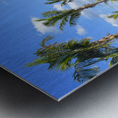 Cuban resort tropical garden Metal print