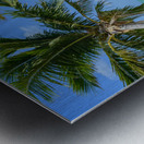 Cuban beach with 2 palmtrees Metal print