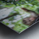 thai monkey 2 Metal print