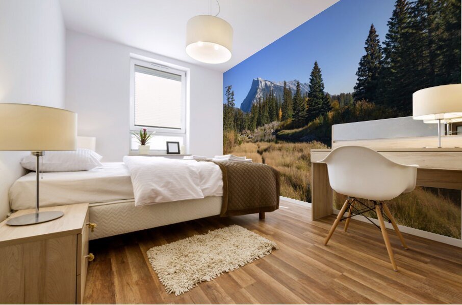 Banff Bow river banks mountains 2-8 Mural print