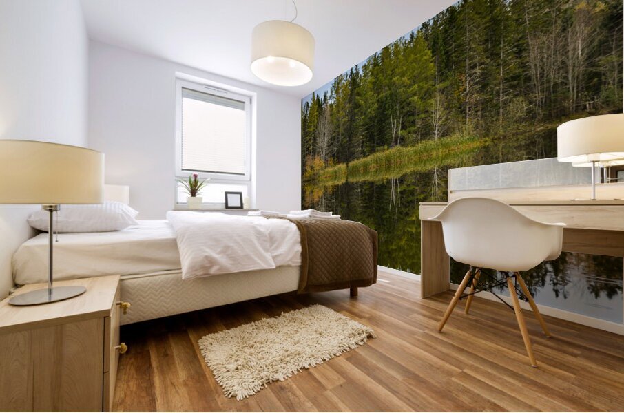 Bird sanctuary pond reflection Mural print