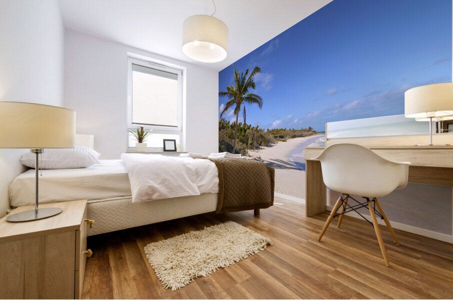 Cayo Coco Cuba beach Mural print