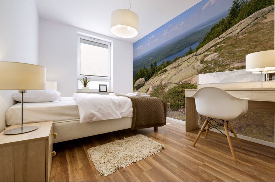 Cadillac mountain Mural print