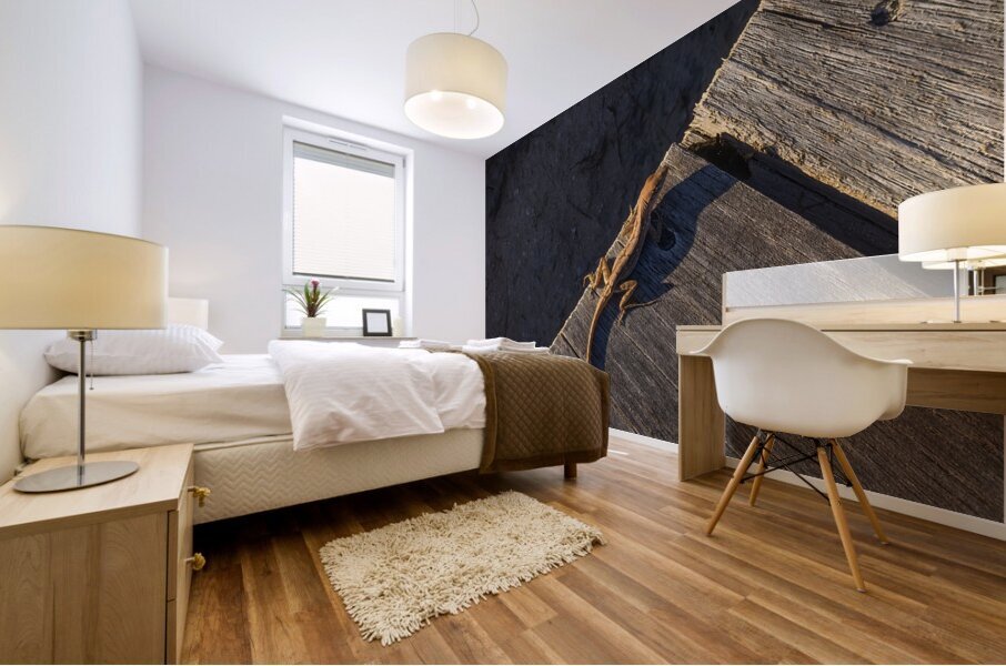 Gecko Anole on boardwalk Mural print