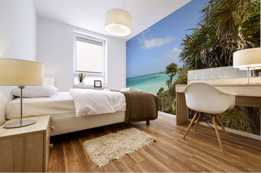 sand dune walk next to aqua ocean Mural print