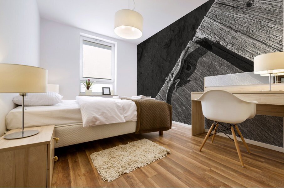 Gecko Anole on boardwalk in BW Mural print