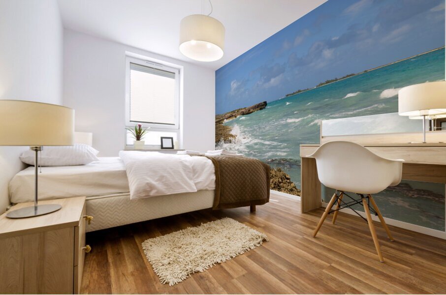 Cuban coral shore ocean view Mural print