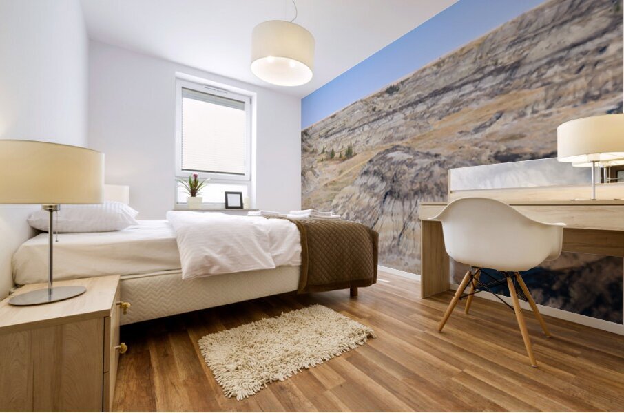 Horseshoe Canyon Pano Impression murale