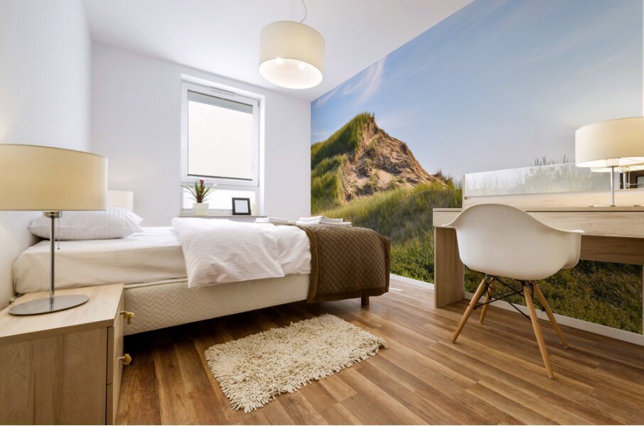 Greenwich grass dune on sky background Mural print