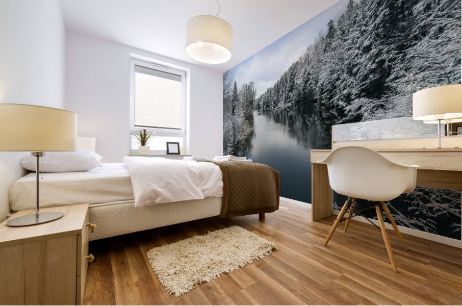 Montague river winter landscape Mural print