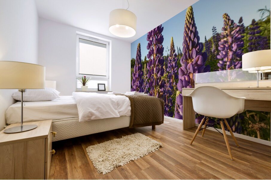 Colourful Lupins in Bloom 3 Mural print