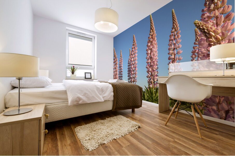 Colourful Lupins in Bloom 5 Mural print