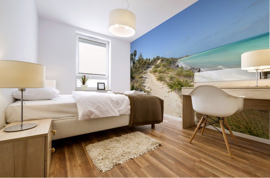 Walk on Cuban Dunes Ocean Mural print