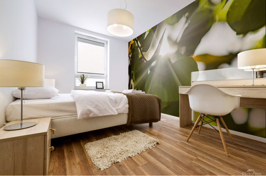 sun rays through leaves Mural print
