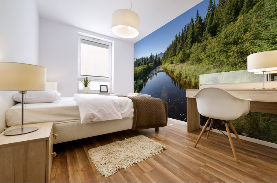 Mount Katahdin campsite Nesowadnehunk river Mural print