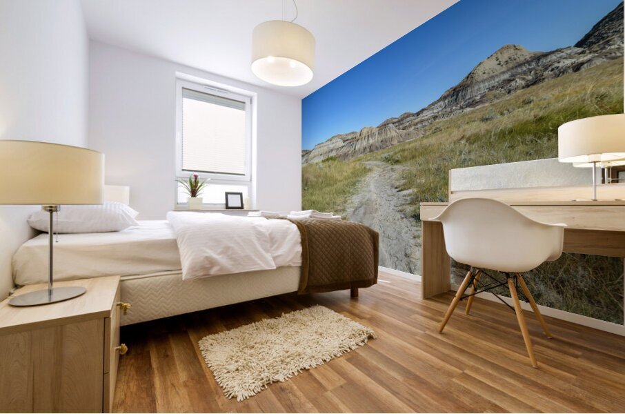 horseshoe canyon path 1540 Mural print