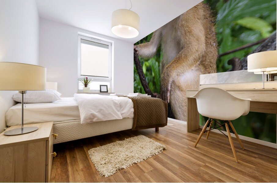 thai monkey 4 Mural print