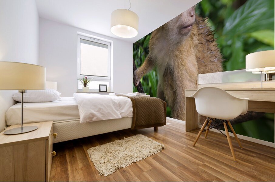 thai monkey 5 Mural print