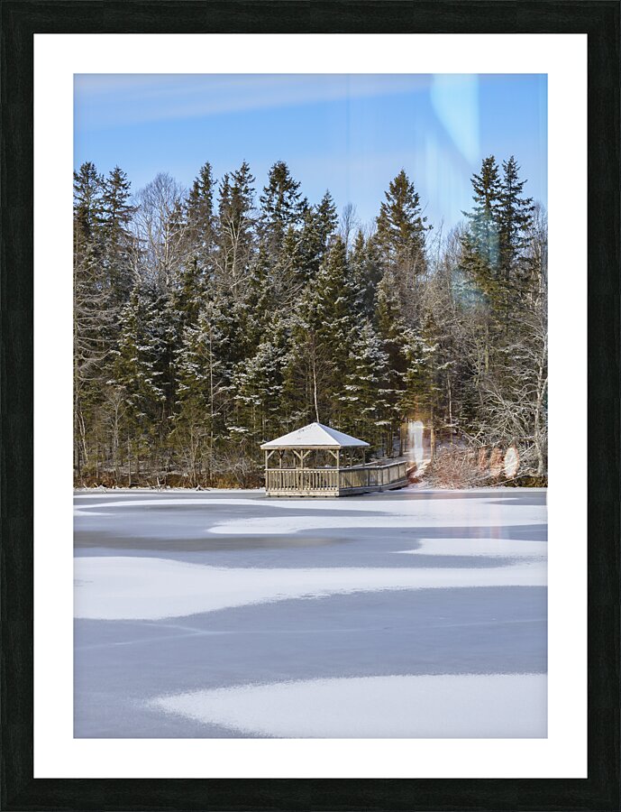 Bird sanctuary pond winter Picture Frame print